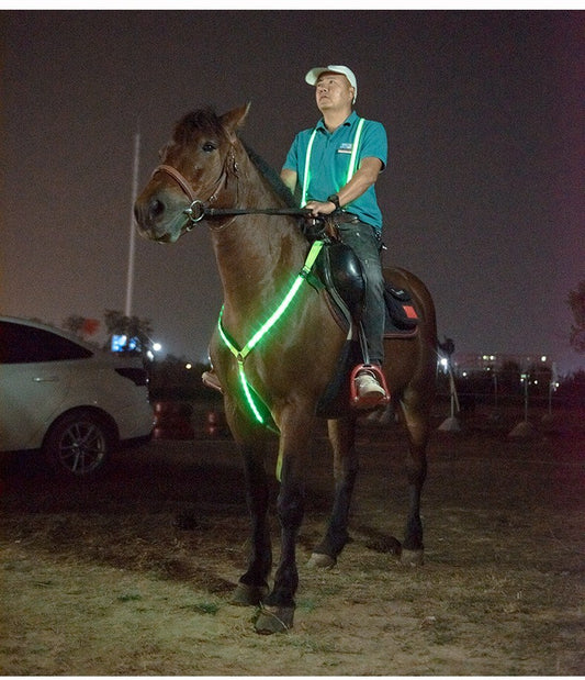 Sangle de poitrine lumineuse