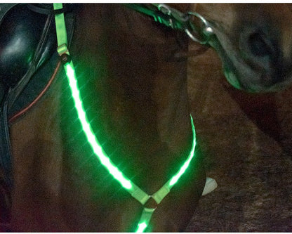 Sangle de poitrine lumineuse